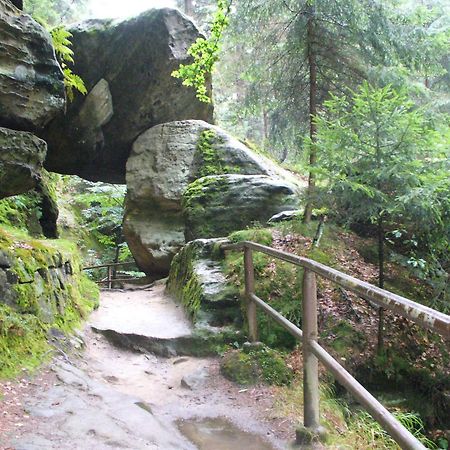 Penzion Braun Rybniste Esterno foto